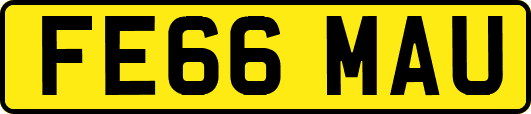 FE66MAU