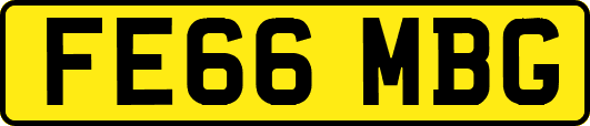 FE66MBG