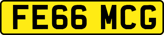 FE66MCG