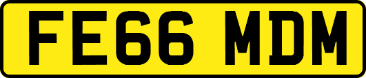 FE66MDM