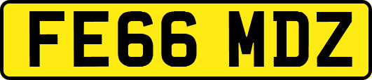 FE66MDZ