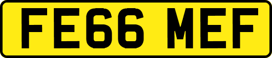 FE66MEF