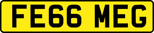 FE66MEG