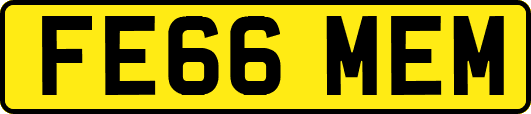 FE66MEM
