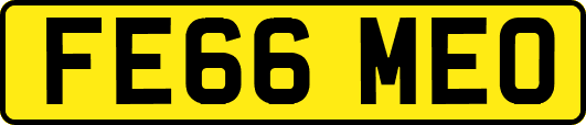 FE66MEO