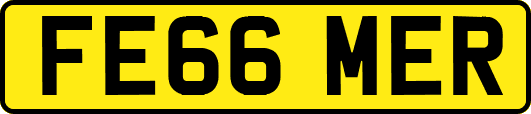 FE66MER