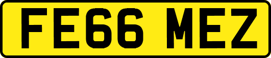 FE66MEZ