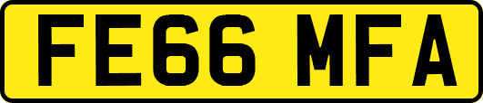 FE66MFA