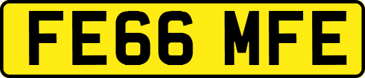 FE66MFE