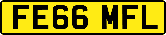 FE66MFL