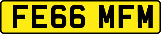 FE66MFM