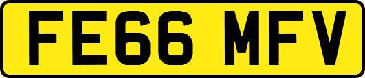 FE66MFV