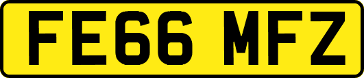 FE66MFZ