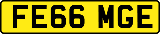 FE66MGE