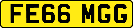 FE66MGG