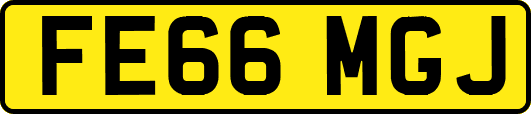 FE66MGJ