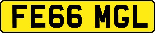 FE66MGL