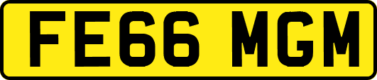FE66MGM