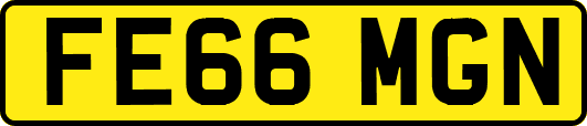 FE66MGN