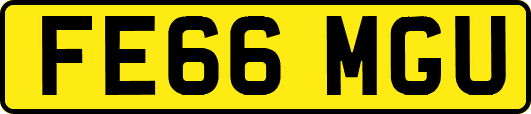 FE66MGU