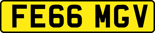 FE66MGV