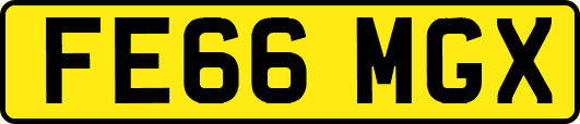 FE66MGX