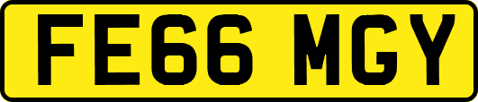 FE66MGY