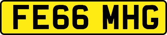 FE66MHG