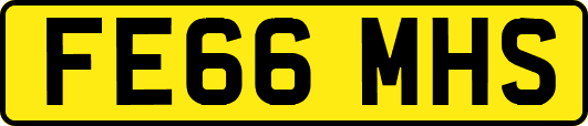 FE66MHS
