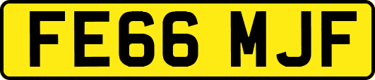 FE66MJF