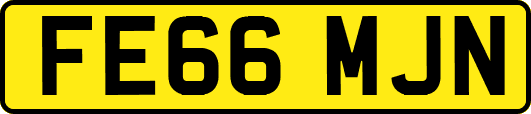 FE66MJN
