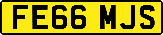 FE66MJS