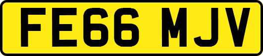 FE66MJV