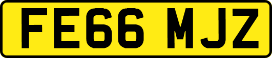 FE66MJZ