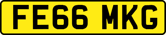 FE66MKG