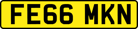 FE66MKN