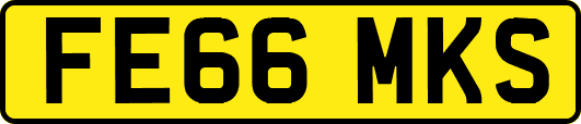 FE66MKS