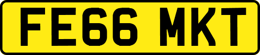 FE66MKT