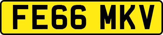 FE66MKV