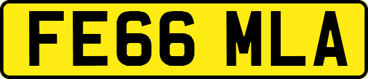 FE66MLA