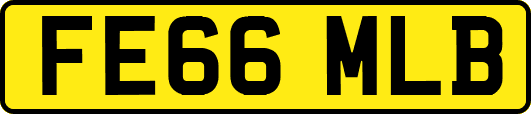 FE66MLB