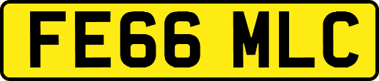 FE66MLC