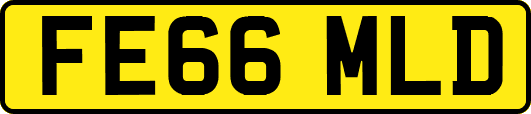FE66MLD