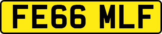 FE66MLF
