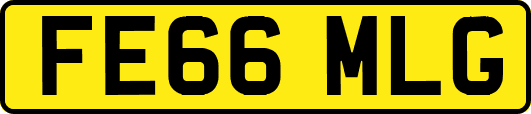 FE66MLG