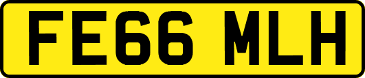FE66MLH