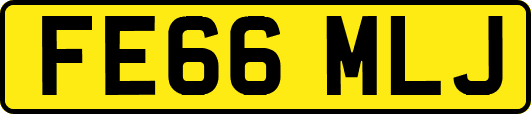 FE66MLJ
