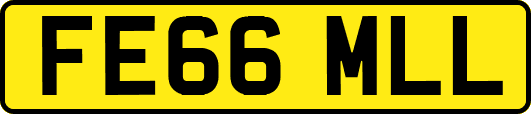FE66MLL