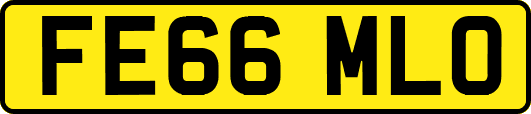 FE66MLO