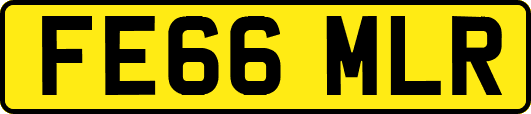 FE66MLR
